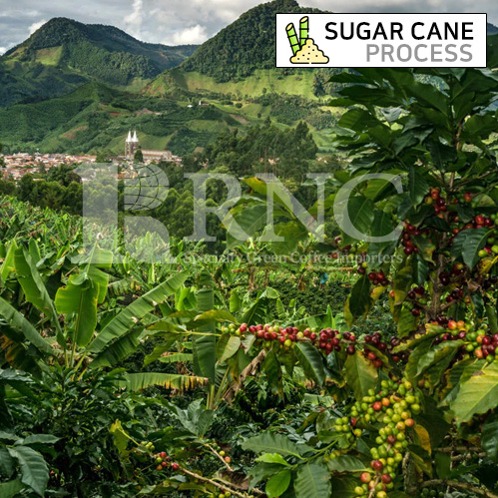Decaffeinated ColombiaSugar cane Process 디카페인 슈가케인 콜롬비아  커피